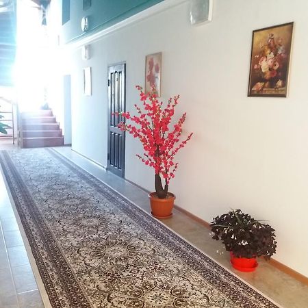 צ'ולפון-אטא Guest House Arbat מראה חיצוני תמונה