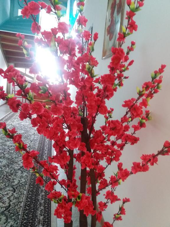 צ'ולפון-אטא Guest House Arbat מראה חיצוני תמונה